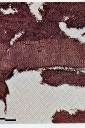 Archaeological finds of woolen tunics and cloaks