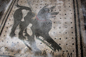 Мозаика CAVE CANEM — «Берегись собаки» — у входа в Дом трагического поэта в Помпеях, до 79 года н. э. Пример бытового латинского предупреждения, а не изречение писателя. Фото CRYptex, общественное достояние.