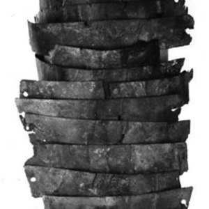 Manica from Newstead,National Museum of Scotland,bronze,dated AD 80-180.