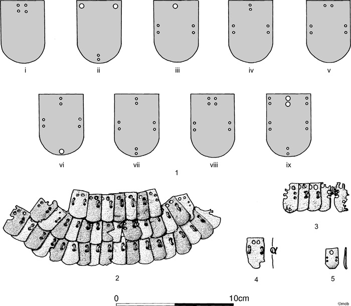 Lorica segmentata чертеж