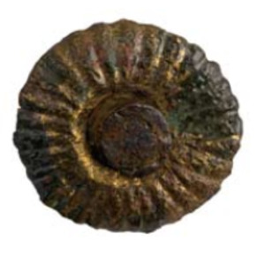 Corbridge lorica segmentata’s decoration, catalogue of Croatian part of the Danube Limes, I century CE